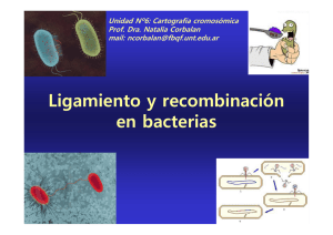 Ligamiento y recombinación en bacterias
