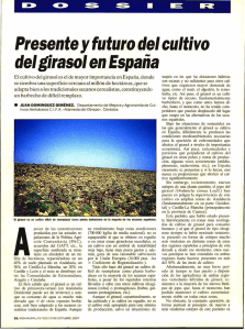 Presente y futuro del cultivo del girasol en España