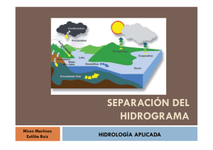 Separación del Hidrograma Archivo