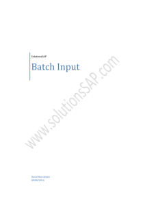Batch Input - Solutions SAP