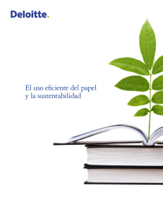 El uso eficiente del papel y la sustentabilidad