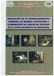 [es]Evaluación de un Aprovechamiento Forestal en Bosque