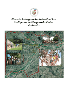 Plan de Salvaguarda de los Pueblos Indígenas del Resguardo