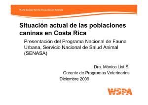 Situación actual de las poblaciones caninas en Costa Rica