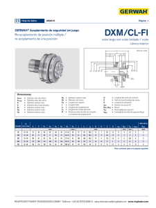 DXM/CL-FI - Ringfeder