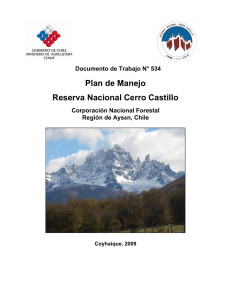 Plan de Manejo Reserva Nacional Cerro Castillo