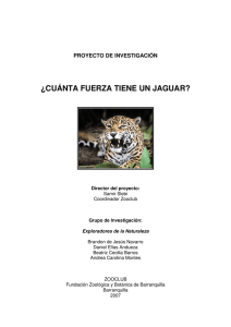 ¿cuánta fuerza tiene un jaguar? - Fundación Botánica y Zoológica