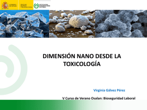 “Dimensión nano desde la toxicología”, Virginia Gálvez Pérez del