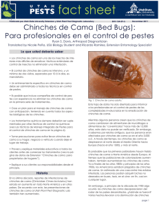 Chinches de Cama (Bed Bugs): Para profesionales en el control de
