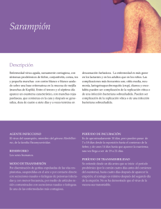 Sarampión - PAHO/WHO