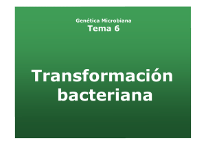 Transformación bacteriana