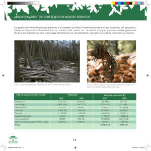 Aprovechamientos Forestales en Montes Públicos