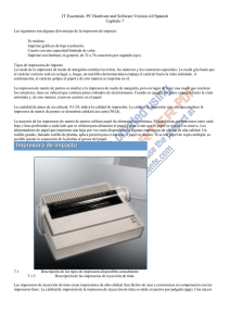 Capitulo 7 PC Hardware and Software Version 4.0 Spanish