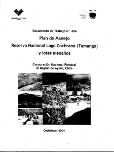 Plan de Manejo Reserva Nacional Lago Cochrane