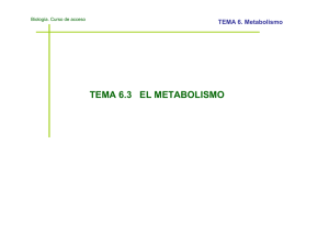 TEMA 6. Metabolismo - Horarios de los centros asociados de la uned