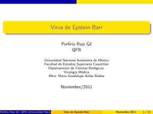 Virus Epstein Barr presentacion PDF