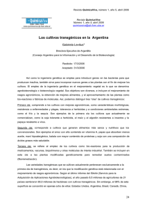 Los cultivos transgénicos en la Argentina