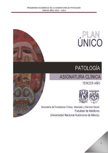 plan único: programa académico patología 2013