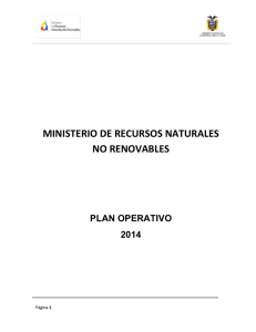 MINISTERIO DE RECURSOS NATURALES NO RENOVABLES