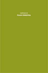 capítulo vii plan forestal