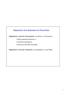 Regulación de la Expresión en Procariotas