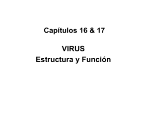 VIRUS Estructura y Función