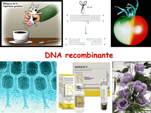 DNA recombinante