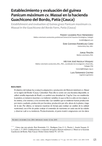 Establecimiento y evaluación del guinea Panicum máximum cv