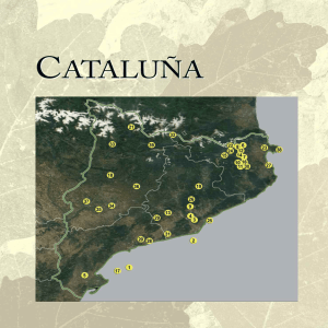 Registros paleobotánicos de Cataluña