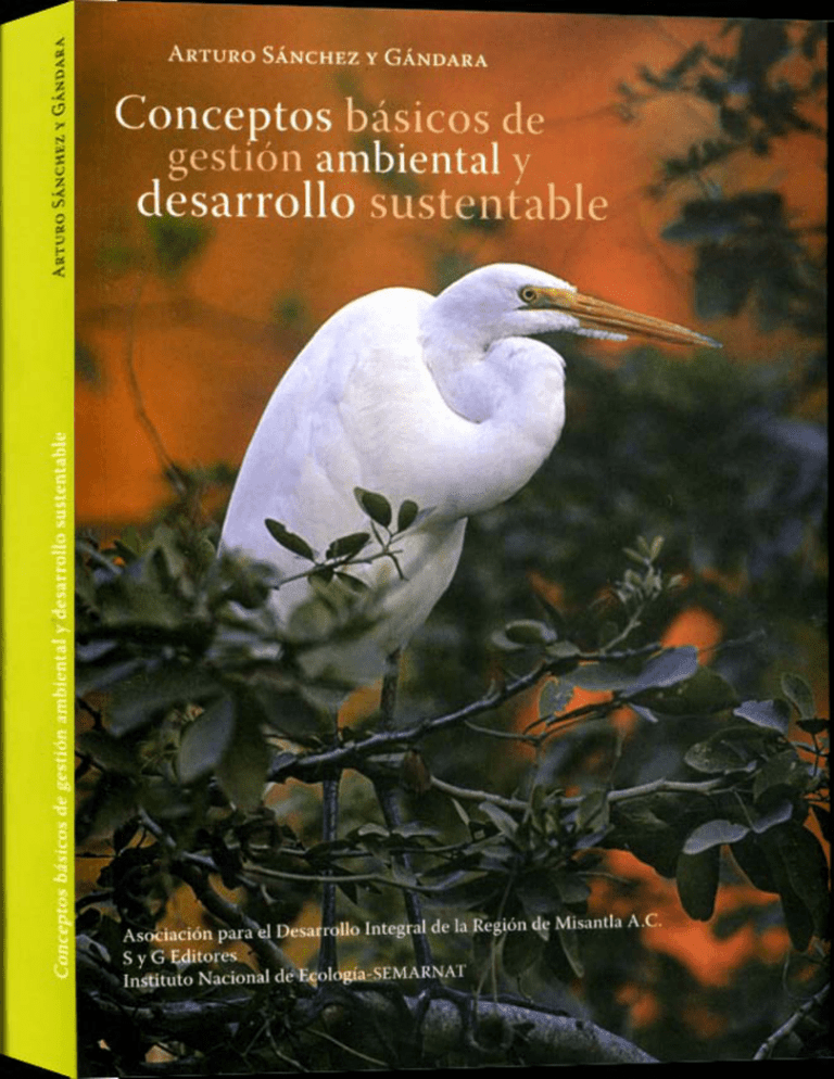 Conceptos B Sicos De Gesti N Ambiental Y Desarrollo Sustentable