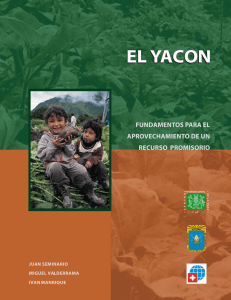 El Yacon Fundamentos para el Aprovechamiento de un Recurso