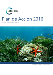 Plan de Acción 2016