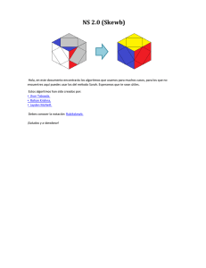 NS 2.0 (Skewb)