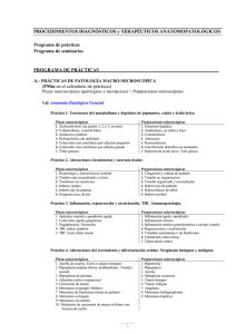 PROGRAMA de PRÁCTICAS y SEMINARIOS en formato pdf