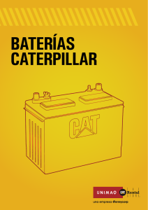 Baterias CAT - catalogo naranja