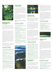 reserva biologica del bosque nuboso monteverde