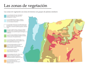 Las zonas de vegetación
