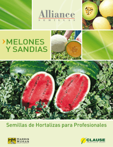 ficha melones sandias - Alliance Semillas Chile