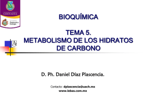 Metabolismo De Los Hidratos De Carbono