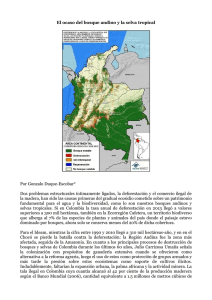 El ocaso del bosque andino y la selva tropical