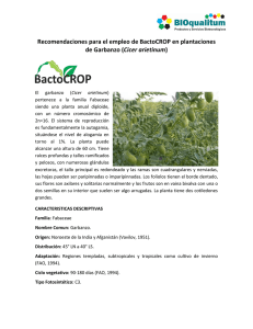 Recomendaciones para el empleo de BactoCROP en plantaciones