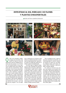 Importancia del mercado de flores y plantas ornamentales