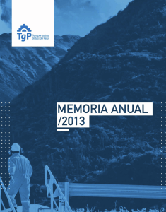 Memoria anual 2013