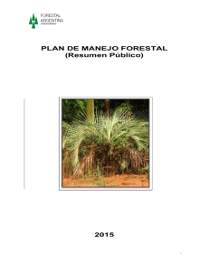 Plan Manejo Forestal Público