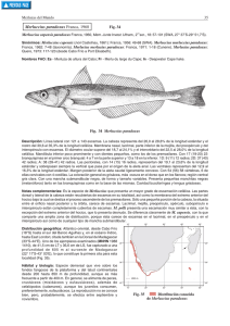 3. lista de especies y presencia en las principales áreas pesqueras