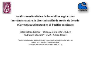 DOR-02 Análisis morfométrico de los otolitos sagita del dorado México