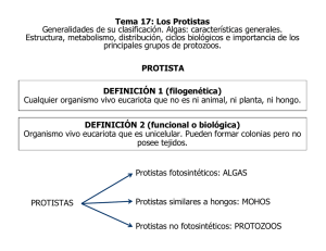 Tema 17: Los Protistas Generalidades de su clasificación. Algas