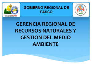 Gobierno Regional de Pasco