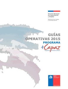 guías operativas 2015