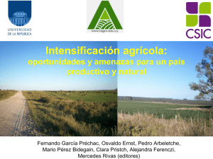 Intensificación agrícola